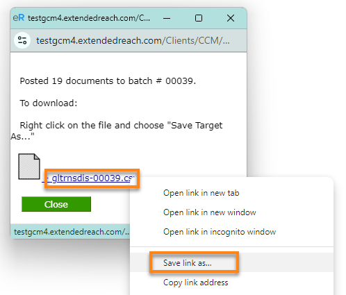 Above screenshot shows how to save the export file.